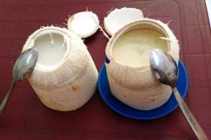 Ăn vặt Thành Viên - Thạch Dừa & Xôi Nếp Nương