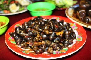 Ăn vặt Thảo Tú - Ốc Hút & Trứng Lộn