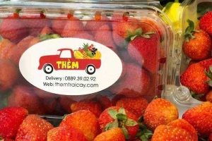 Ăn vặt Thèm Trái Cây - Trái Cây Sạch, Sinh Tố & Nước Ép