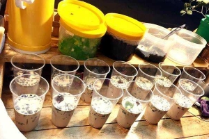 Ăn vặt Trà Sữa Yuti - Đường T6