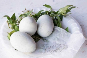 Ăn vặt Trứng Vịt Lộn - Mai Xuân Thưởng