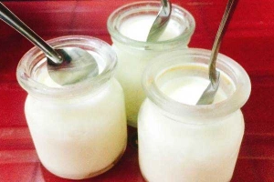 Ăn vặt Yaourt & Bánh Flan - Trần Nhật Duật