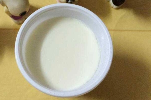 Ăn vặt Yaourt Phô Mai Đà Lạt
