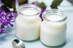 Ăn vặt Yaourt Phô Mai
