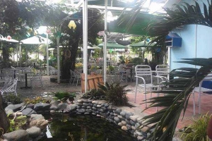 Angel Garden Coffee