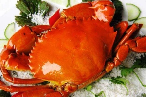 Nhà Hàng Anh Anh - Điểm Đến Của Người Sành Ăn