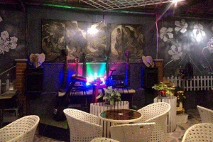 Art Cafe - Live Acoustic