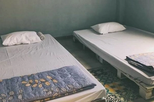 Avocado House Homestay