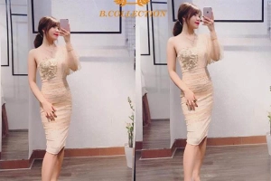 B.Collection - Nguyễn Trãi