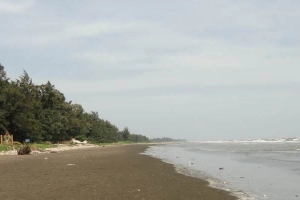 Bãi Biển 30 Tháng 4 - Cần Giờ