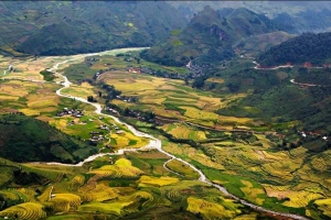 Bản Mòng