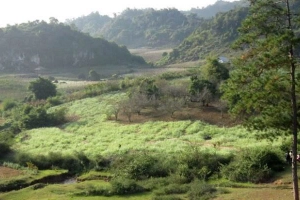 Bản Pa Phách