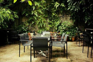 Bản Sonate Cafe