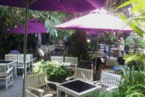 Bằng Lăng Tím Cafe - Phan Huy Ích