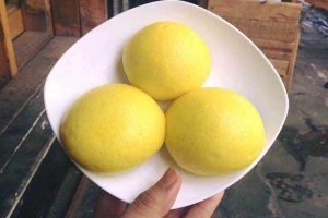 Bánh Bao Kim Sa - Shop Online - Nguyễn Chính