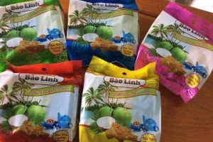 Bánh Dừa Nướng Bảo Linh - Shop Online