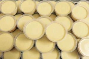 Bánh Flan Trứng Gà Sữa Tươi - Shop Online