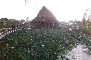 Bàu Sen - Nhà Hàng Sinh Thái