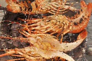 Bè Chị Hoa