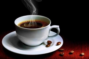 Begin Be Bold Coffee - Celadon City