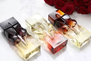 Bella Beauty - Hà Nội