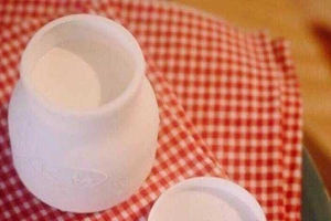 Best Choice Homemade - Yaourt - Shop Online - Đường Số 3