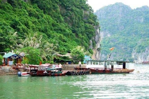 Nhà Hàng Nổi Biển Mơ - Hải Sản