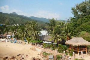Big Tree Backpackers And Bistro