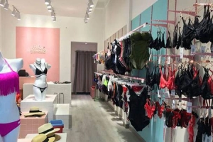 Bikini Passport - Trần Huy Liệu