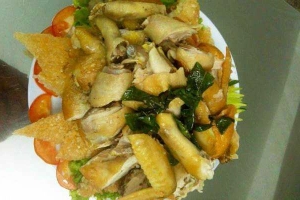 Bin Beo - Gà Không Lối Thoát - Shop Online
