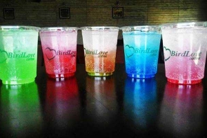 Birdlove Cafe - Nguyễn Hữu Cầu
