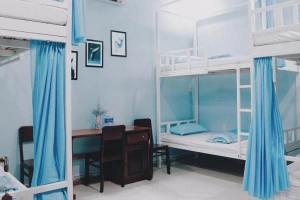 Blue Whale Homestay