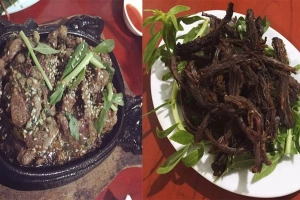 Bò Tơ Quán