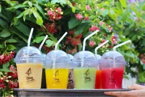 Bông - Nước Ép 100% Organic - Shop Online