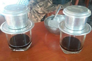 Bonsai Coffee