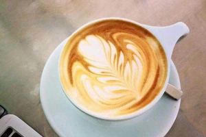 Bosgaurus Coffee Roaster