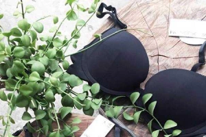 Brazebra Store - Nguyễn Đình Chiểu