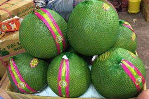 Bưởi Da Xanh - Shop Online