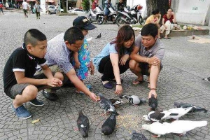Café Bồ Câu Vỉa Hè Nhà Thờ Đức Bà