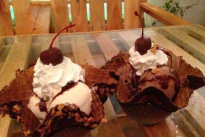 Cafe BUD'S Ice Cream -  Parkson CT Plaza