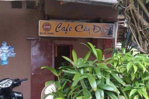 Cafe Cây Đa - Hai Bà Trưng