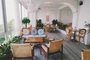 Cafe Cup Of Tea - Nguyễn Đình Thi
