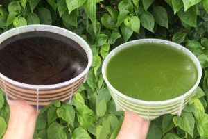 Cafe Đặng Diễm - Rau Câu Bánh Flan