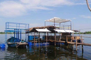 Cafe Đế Võng River Rest Stop - Hội An