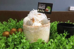 Cafe GooFoo Gelato - Kem Dừa Thái Lan - Núi Đôi