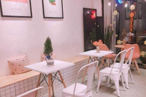 Cafe Hari Tea