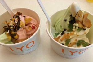 Cafe Iyo Frozen Yogurt - Parkson Cantavil