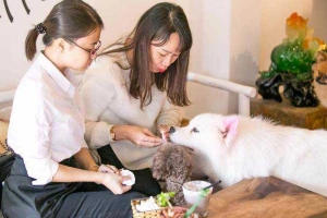 Cafe Luffy - Ngôi Nhà Cún Cưng