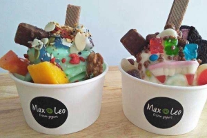 Cafe Max Leo - Frozen Yogurt