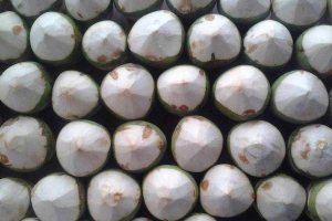 Cafe Ola Thạch Dừa Xiêm